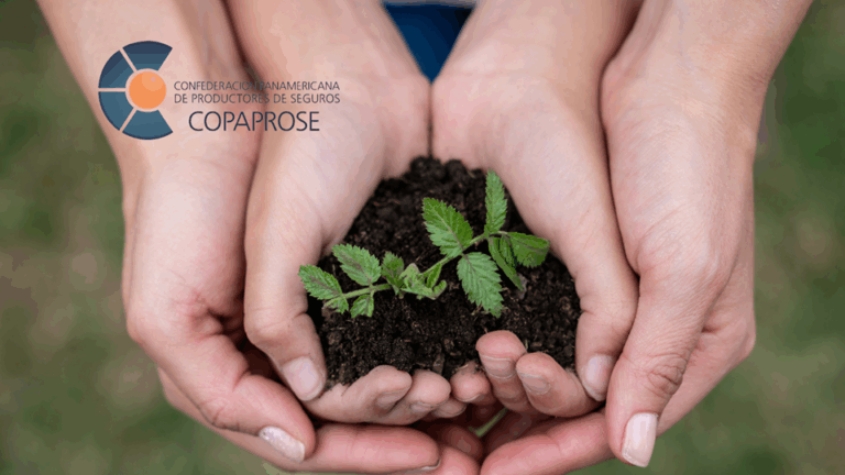 “Los seguros también deben cuidar el planeta”: Claudia González, consejera de COPAPROSE y presidenta de ACOAS Colombia